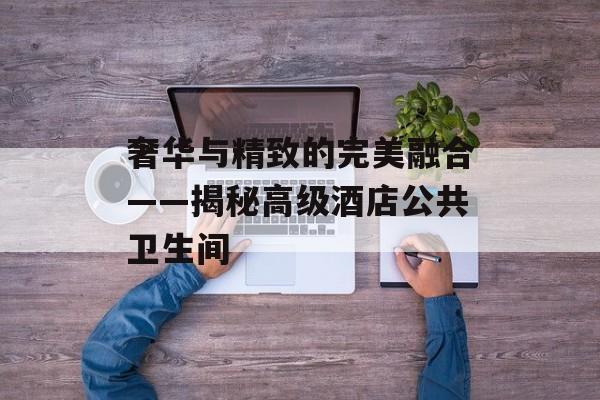 奢华与精致的完美融合——揭秘高级酒店公共卫生间