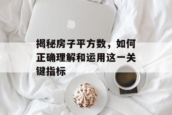 揭秘房子平方数，如何正确理解和运用这一关键指标