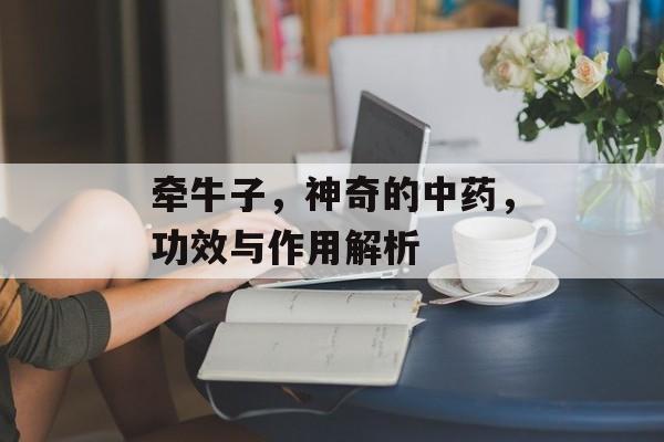 牵牛子，神奇的中药，功效与作用解析