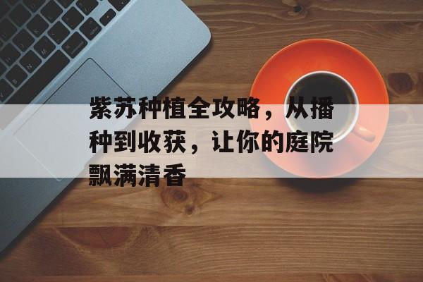 紫苏种植全攻略，从播种到收获，让你的庭院飘满清香