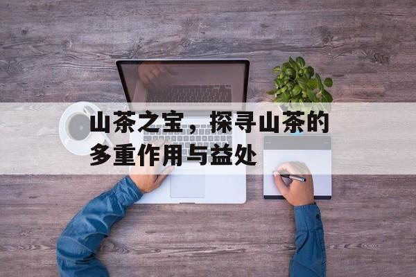 山茶之宝，探寻山茶的多重作用与益处