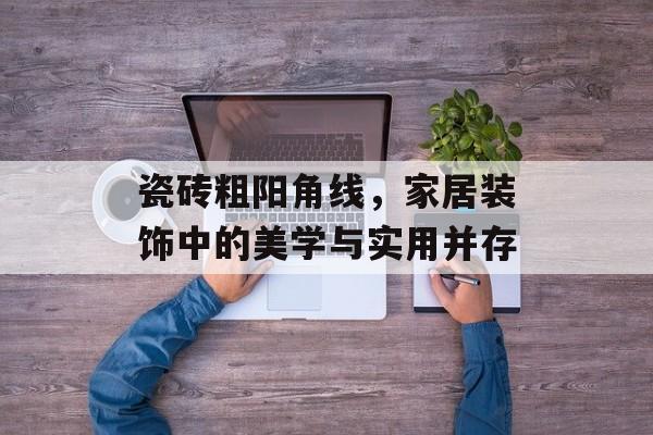 瓷砖粗阳角线，家居装饰中的美学与实用并存