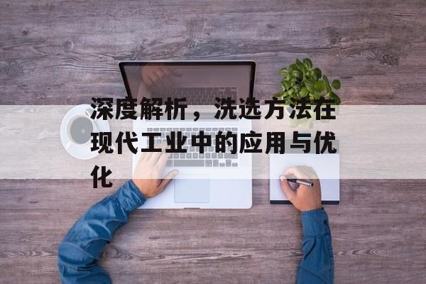 深度解析，洗选方法在现代工业中的应用与优化
