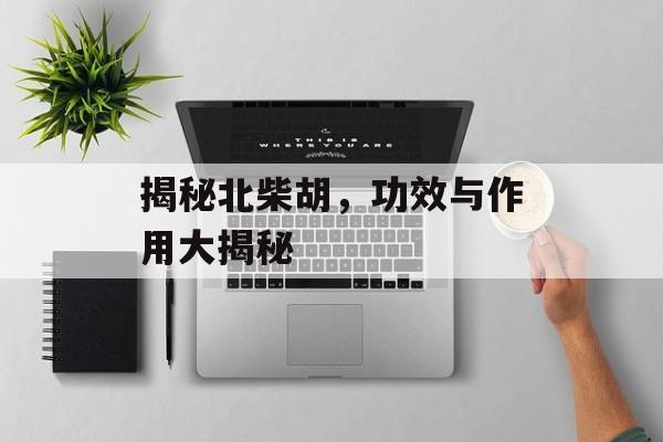 揭秘北柴胡，功效与作用大揭秘