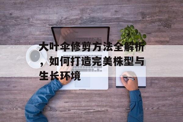 大叶伞修剪方法全解析，如何打造完美株型与生长环境