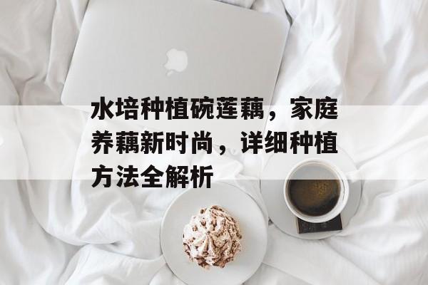 水培种植碗莲藕，家庭养藕新时尚，详细种植方法全解析
