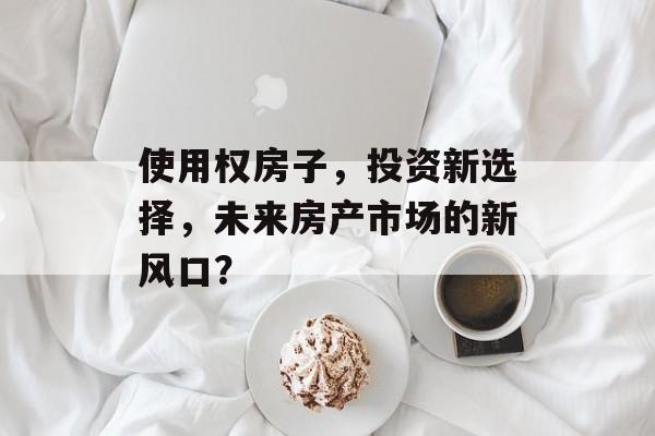 使用权房子，投资新选择，未来房产市场的新风口？