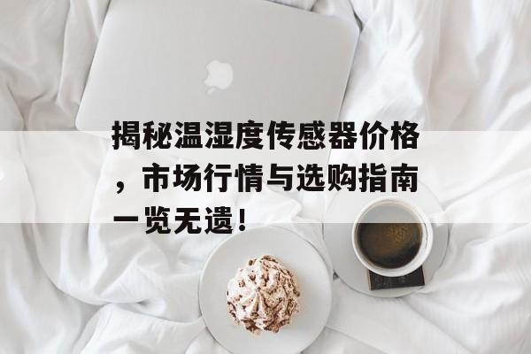 揭秘温湿度传感器价格，市场行情与选购指南一览无遗！