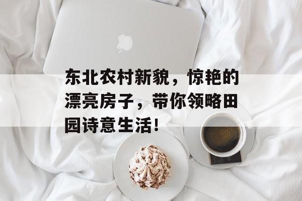 东北农村新貌，惊艳的漂亮房子，带你领略田园诗意生活！