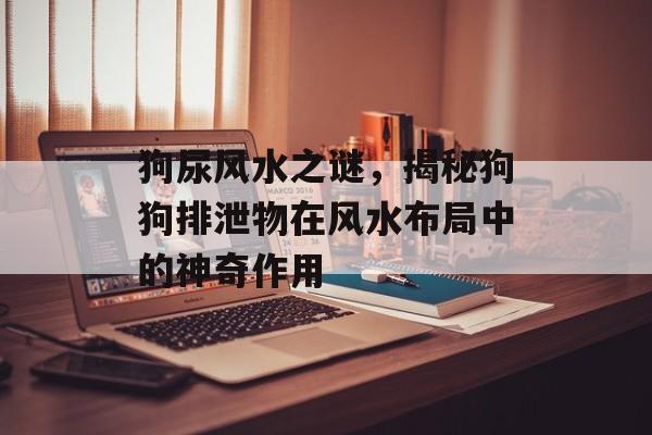 狗尿风水之谜，揭秘狗狗排泄物在风水布局中的神奇作用