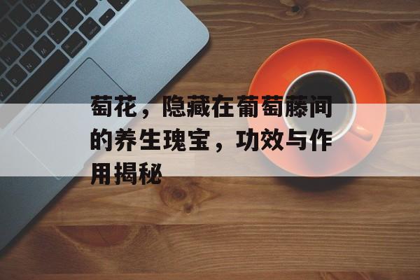 萄花，隐藏在葡萄藤间的养生瑰宝，功效与作用揭秘