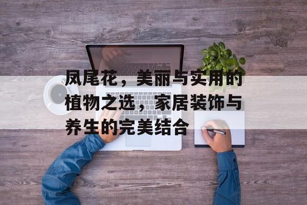 凤尾花，美丽与实用的植物之选，家居装饰与养生的完美结合