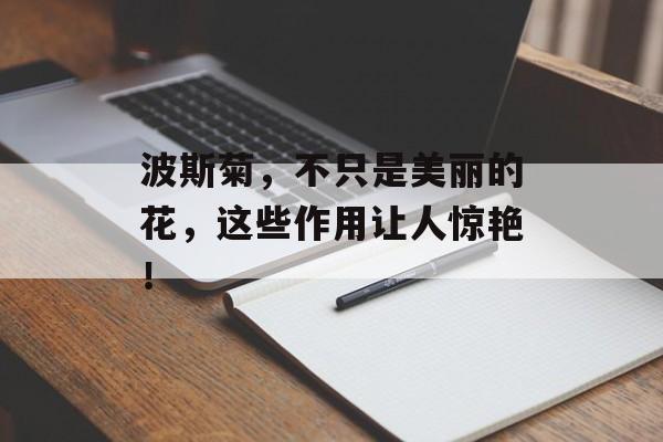 波斯菊，不只是美丽的花，这些作用让人惊艳！