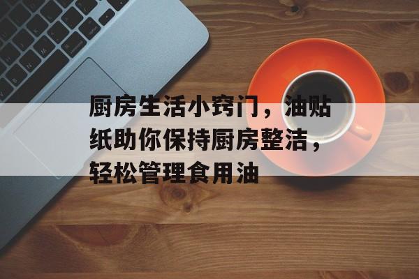 厨房生活小窍门，油贴纸助你保持厨房整洁，轻松管理食用油