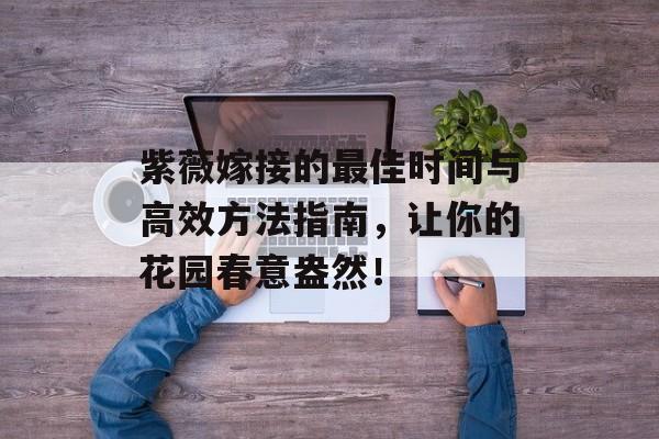 紫薇嫁接的最佳时间与高效方法指南，让你的花园春意盎然！