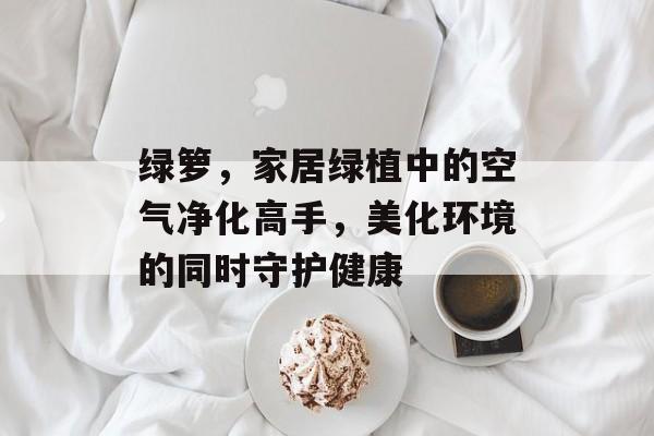 绿箩，家居绿植中的空气净化高手，美化环境的同时守护健康