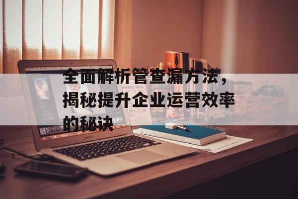 全面解析管查漏方法，揭秘提升企业运营效率的秘诀