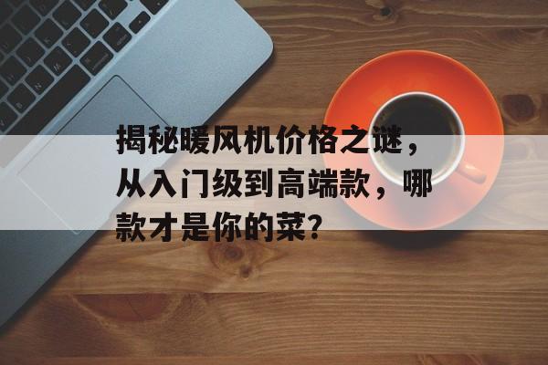 揭秘暖风机价格之谜，从入门级到高端款，哪款才是你的菜？