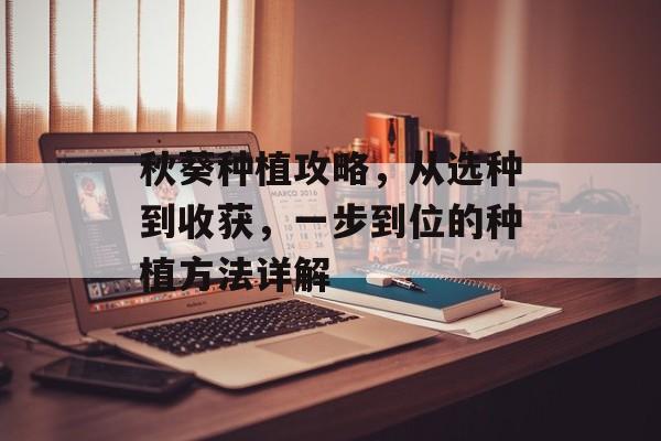 秋葵种植攻略，从选种到收获，一步到位的种植方法详解