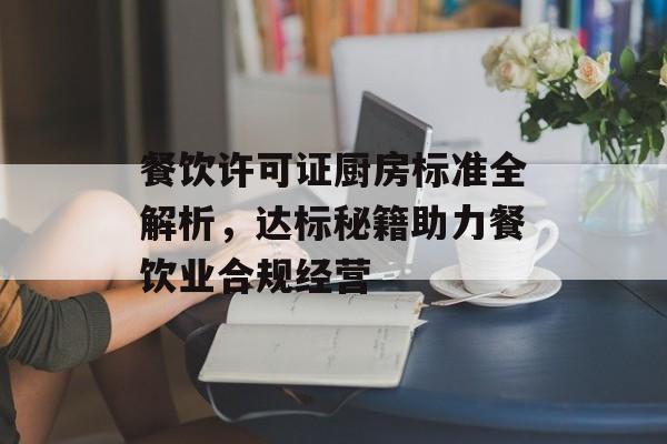 餐饮许可证厨房标准全解析，达标秘籍助力餐饮业合规经营