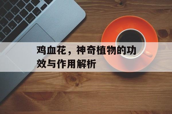 鸡血花，神奇植物的功效与作用解析