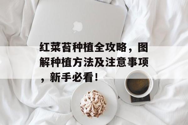 红菜苔种植全攻略，图解种植方法及注意事项，新手必看！