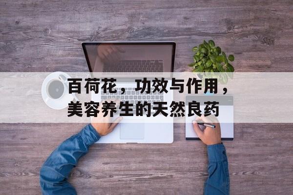 百荷花，功效与作用，美容养生的天然良药