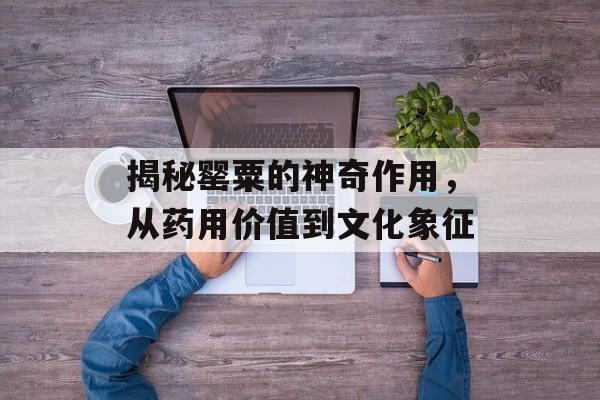 揭秘罂粟的神奇作用，从药用价值到文化象征