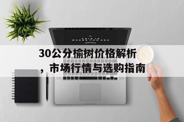 30公分榆树价格解析，市场行情与选购指南