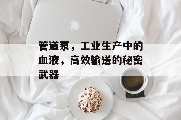 管道泵，工业生产中的血液，高效输送的秘密武器