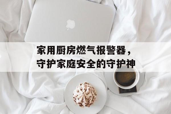 家用厨房燃气报警器，守护家庭安全的守护神