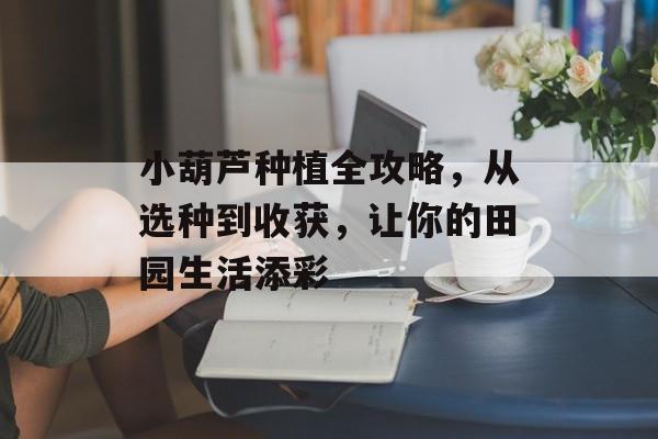 小葫芦种植全攻略，从选种到收获，让你的田园生活添彩
