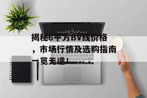 揭秘6平方BV线价格，市场行情及选购指南一览无遗！