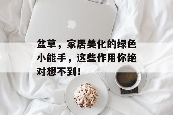 盆草，家居美化的绿色小能手，这些作用你绝对想不到！