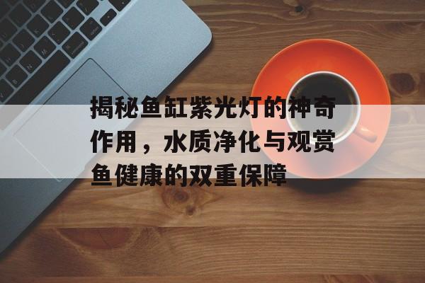 揭秘鱼缸紫光灯的神奇作用，水质净化与观赏鱼健康的双重保障