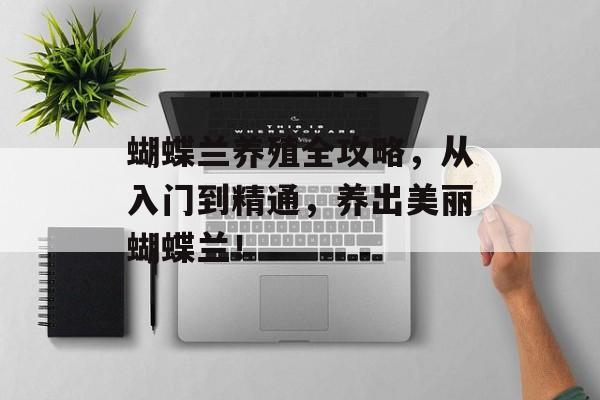 蝴蝶兰养殖全攻略，从入门到精通，养出美丽蝴蝶兰！
