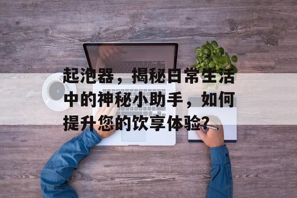 起泡器，揭秘日常生活中的神秘小助手，如何提升您的饮享体验？