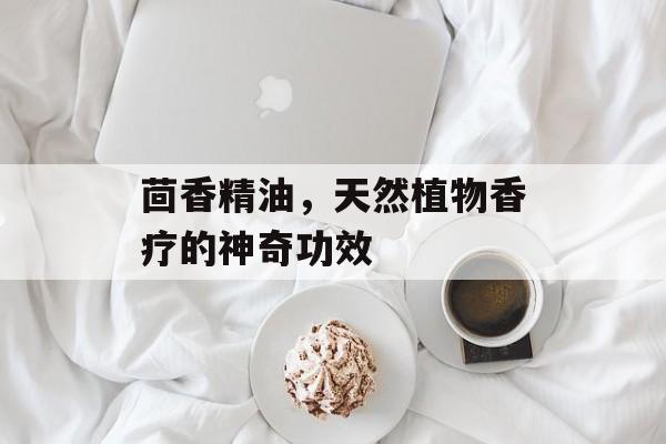 茴香精油，天然植物香疗的神奇功效