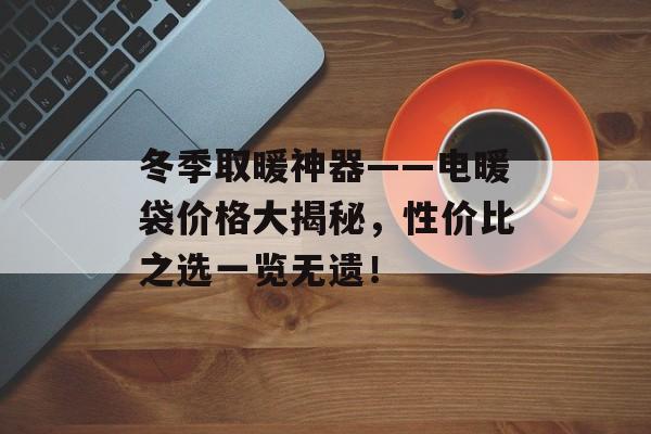 冬季取暖神器——电暖袋价格大揭秘，性价比之选一览无遗！