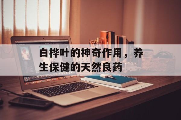 白桦叶的神奇作用，养生保健的天然良药