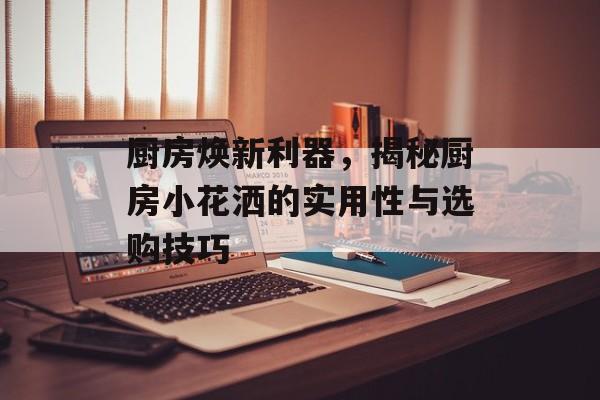 厨房焕新利器，揭秘厨房小花洒的实用性与选购技巧