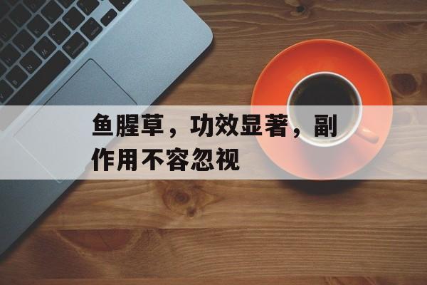 鱼腥草，功效显著，副作用不容忽视