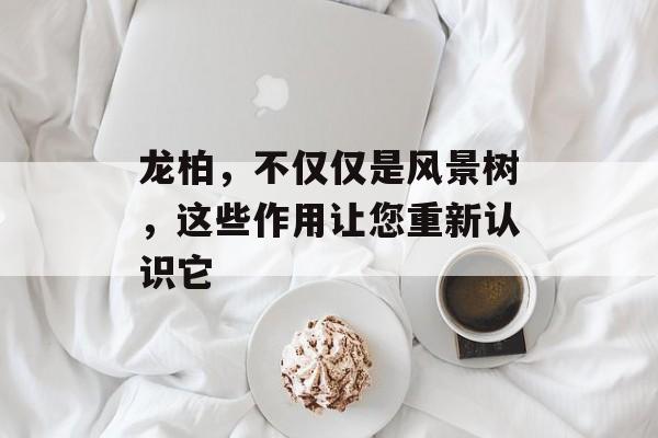 龙柏，不仅仅是风景树，这些作用让您重新认识它