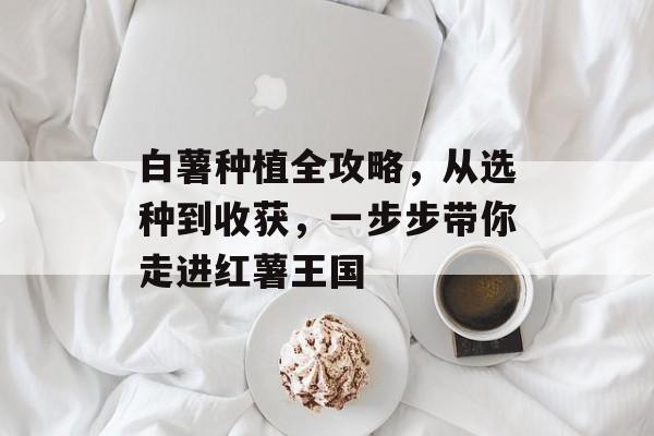 白薯种植全攻略，从选种到收获，一步步带你走进红薯王国
