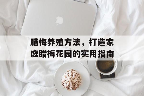 腊梅养殖方法，打造家庭腊梅花园的实用指南