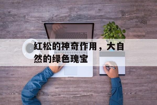 红松的神奇作用，大自然的绿色瑰宝