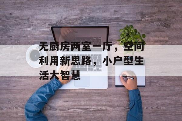 无厨房两室一厅，空间利用新思路，小户型生活大智慧