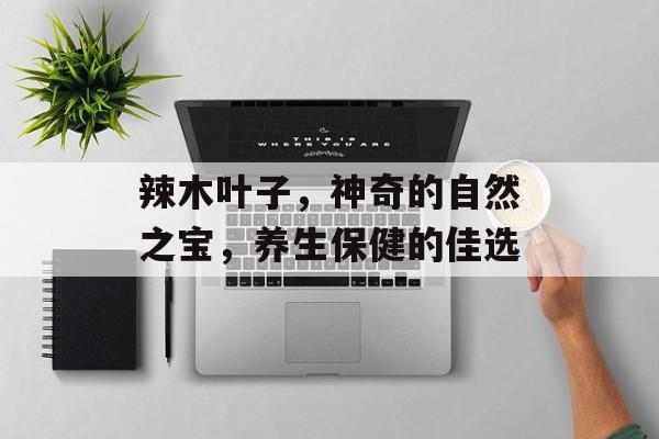 辣木叶子，神奇的自然之宝，养生保健的佳选