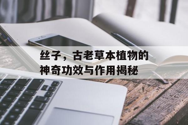 丝子，古老草本植物的神奇功效与作用揭秘