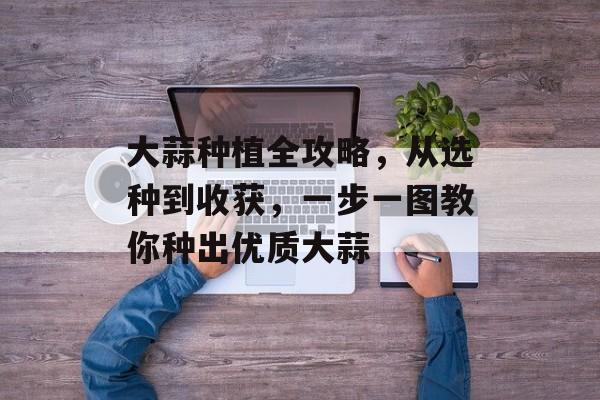 大蒜种植全攻略，从选种到收获，一步一图教你种出优质大蒜